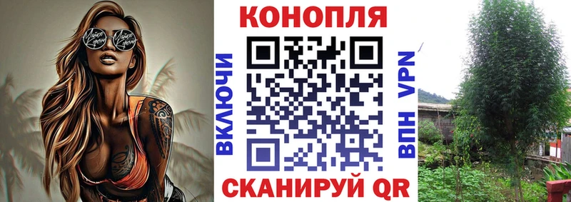Марихуана семена  Темников 